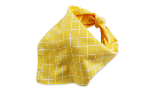 Waltz (Yellow)