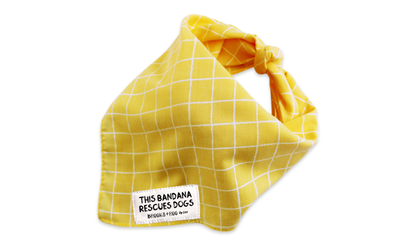Waltz (Yellow)