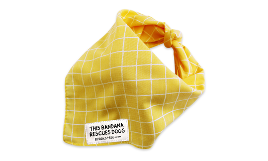 Waltz (Yellow)